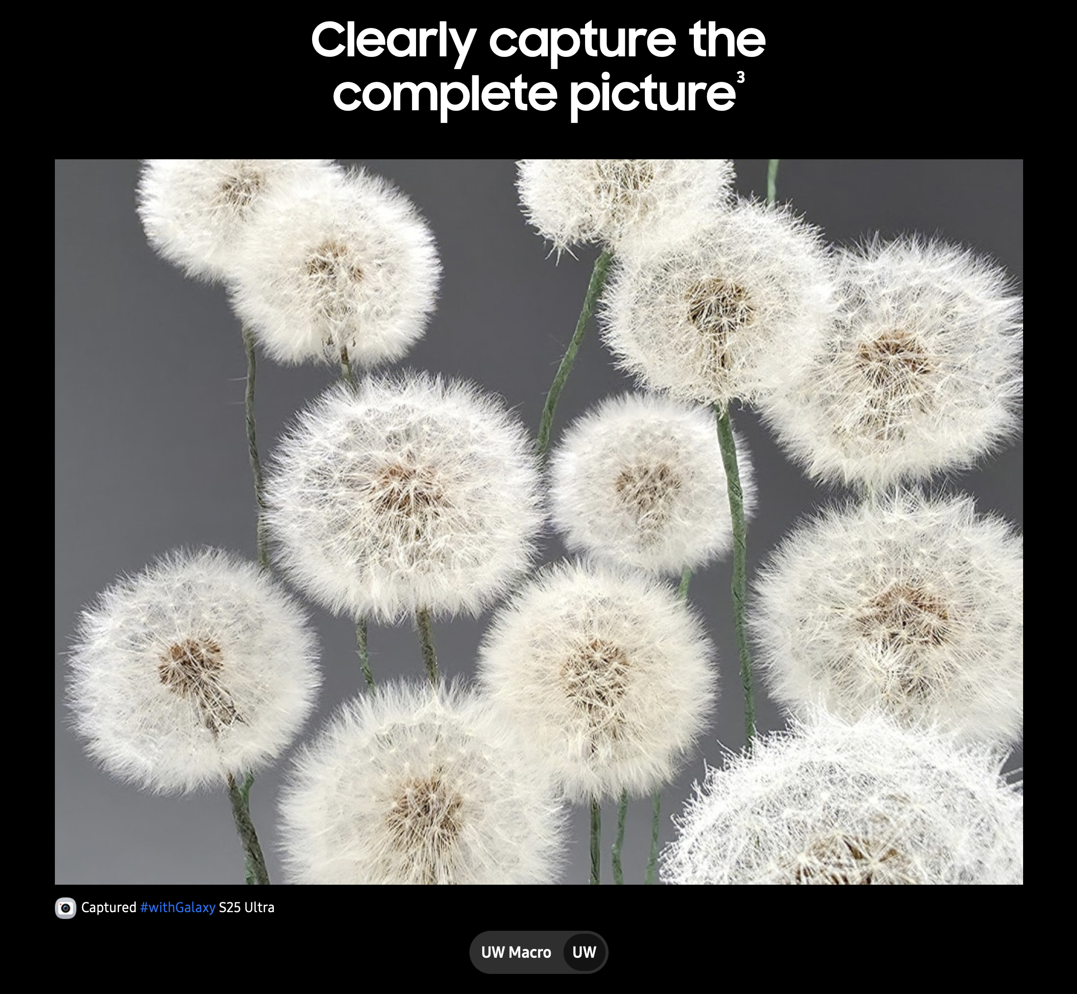 Screenshot 2025-02-10 at 2.21.33 PM.png