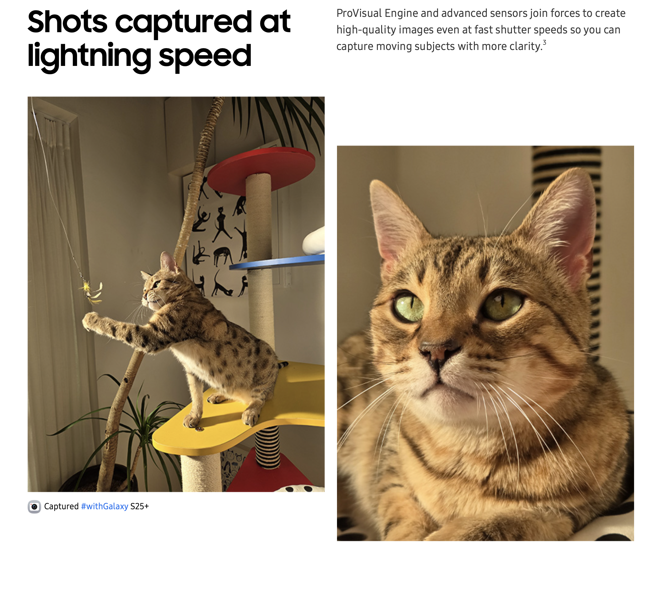 Screenshot 2025-02-10 at 3.24.37 PM.png