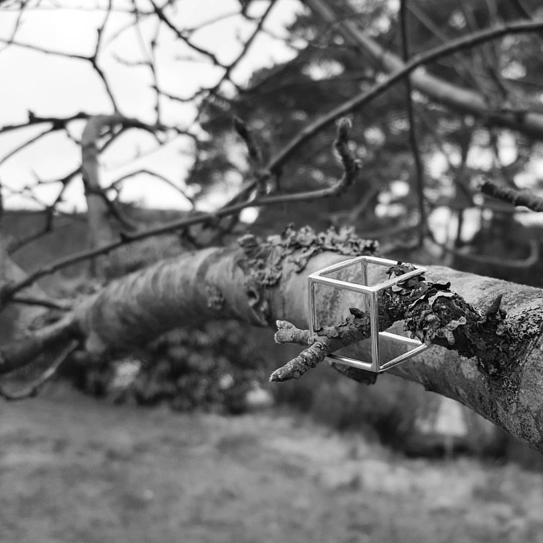 lena-birgitsdotter-cubic-in-tree.jpg