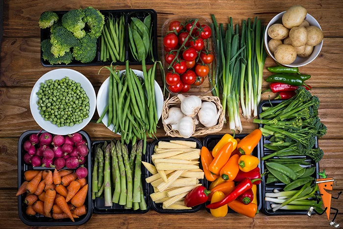 PLANT BASED FOODS