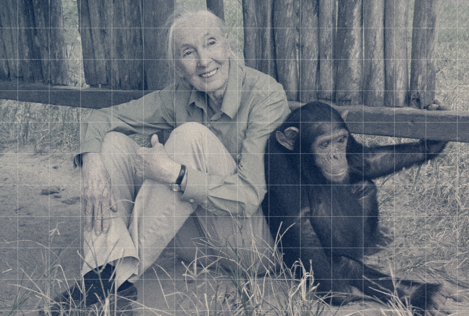 Case Study 20: Dr. Jane Goodall’s Hope Capstone