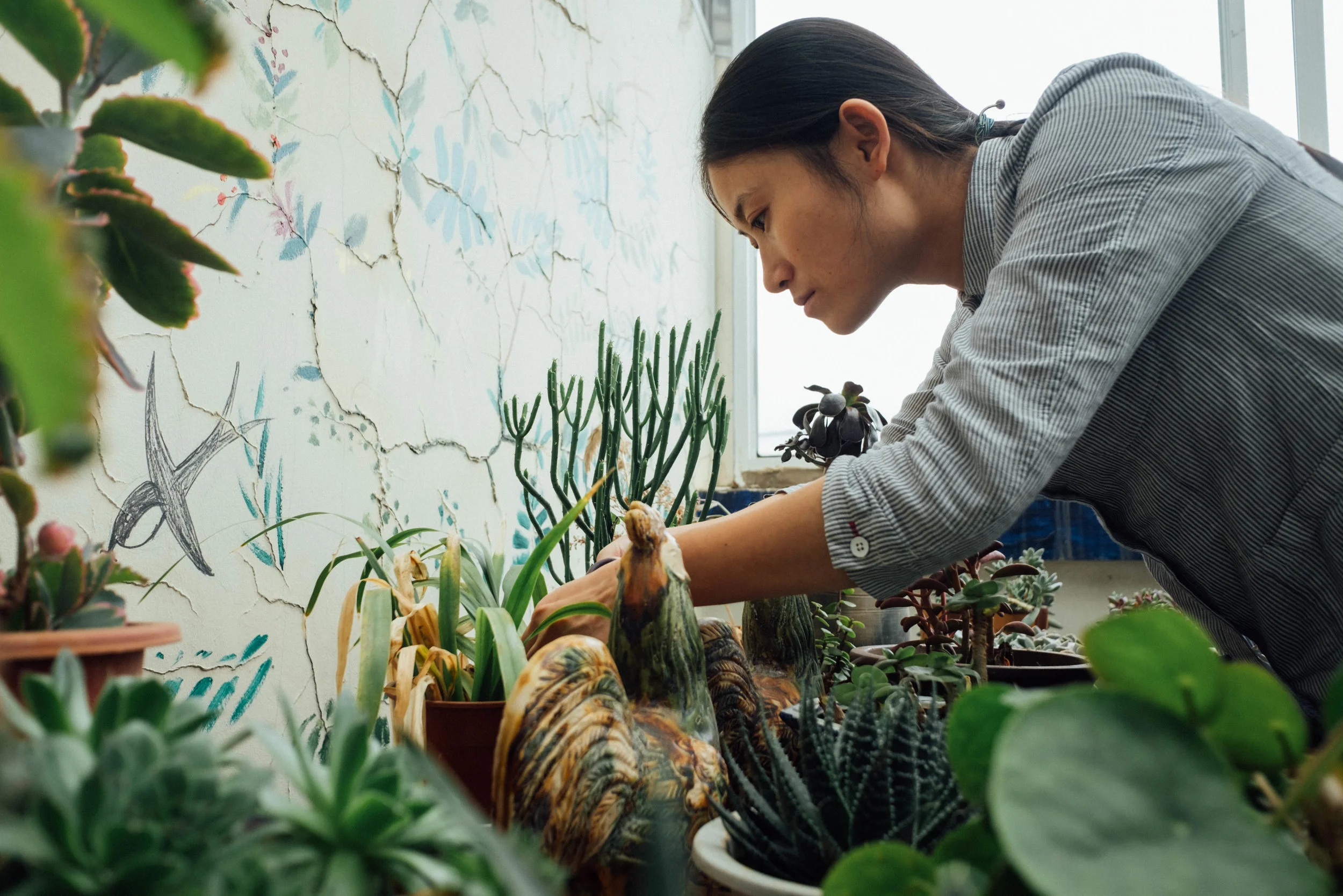 Chen looking after the plants in the back of the Green Watershed rooftop. 