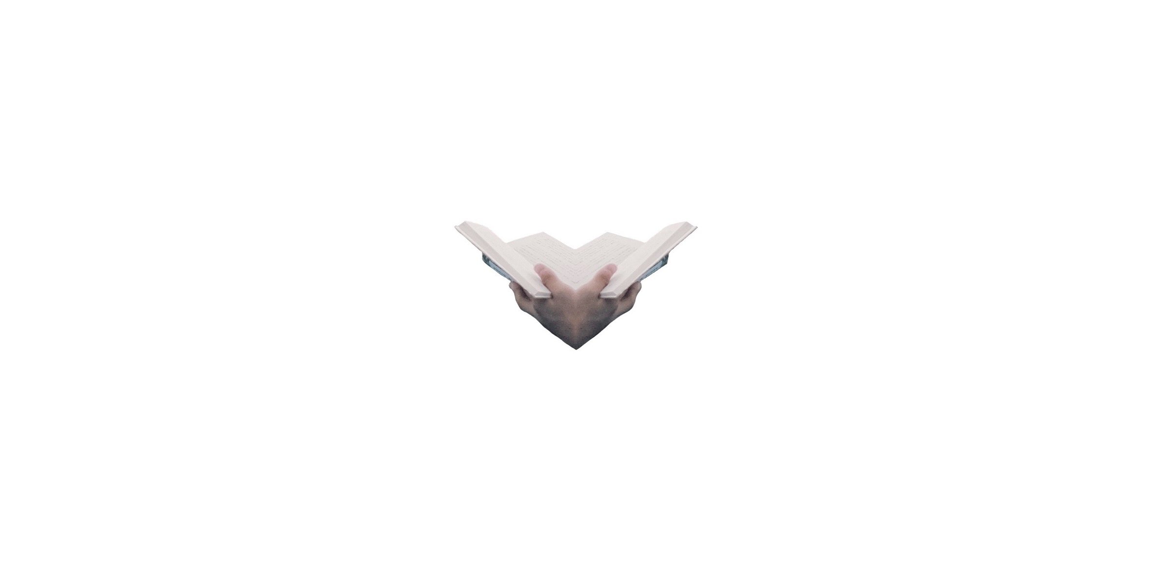 twin 2.jpg
