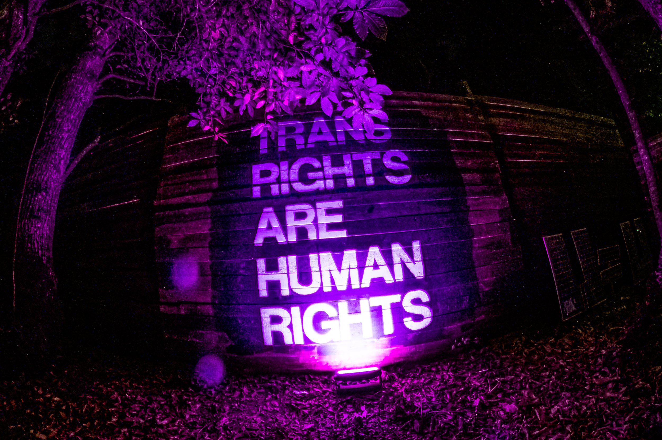 Mother After Dark wall at EP  with artwork saying Trans Rights are Human Rights