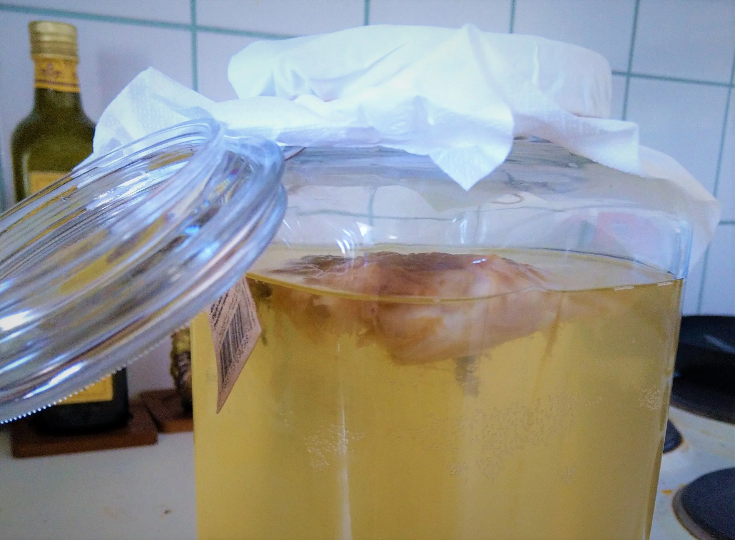 Making Your Own Kombucha: An English Student’s Journey into Biochemistry