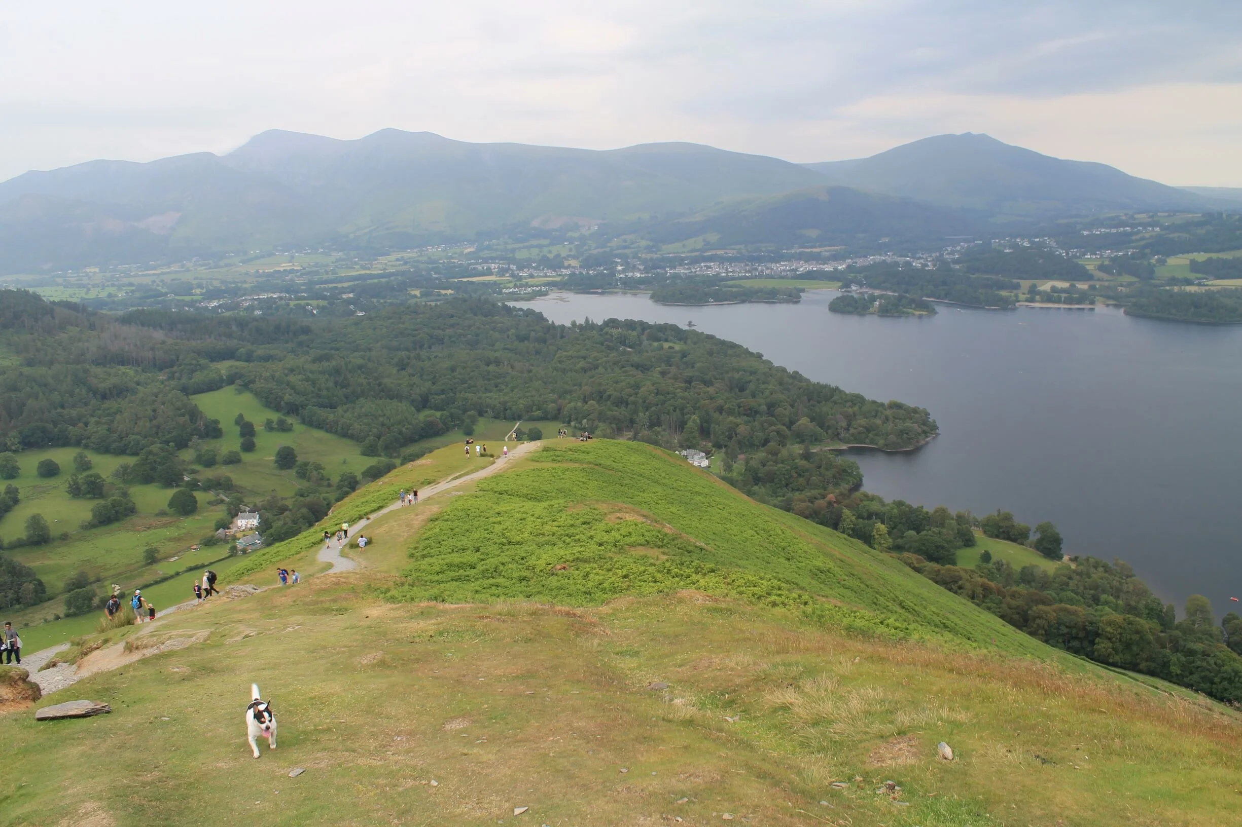 “Nay, Traveller! Rest.”: On Tourism and Literature