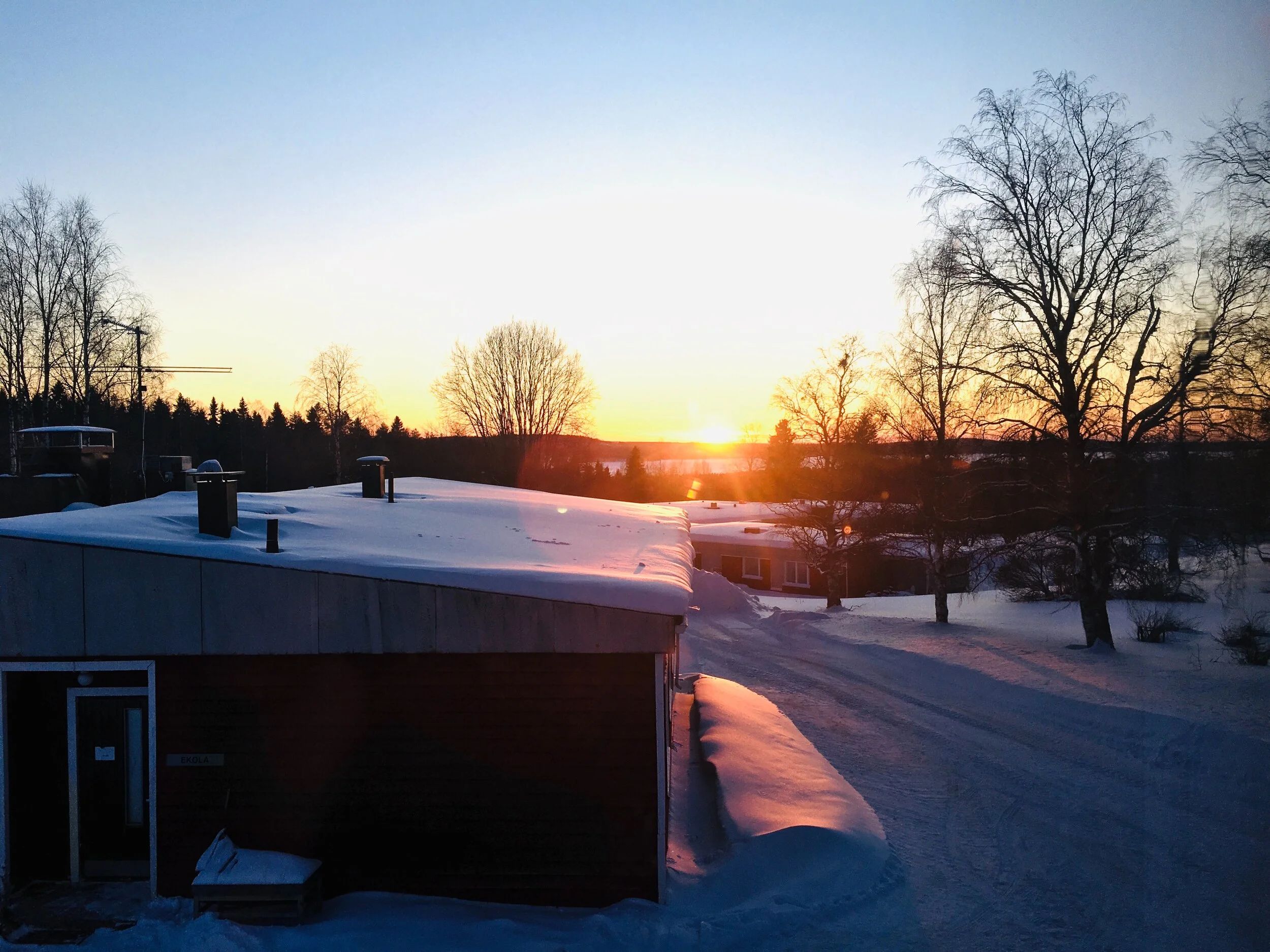 The Day Starts by Alma Seitsara