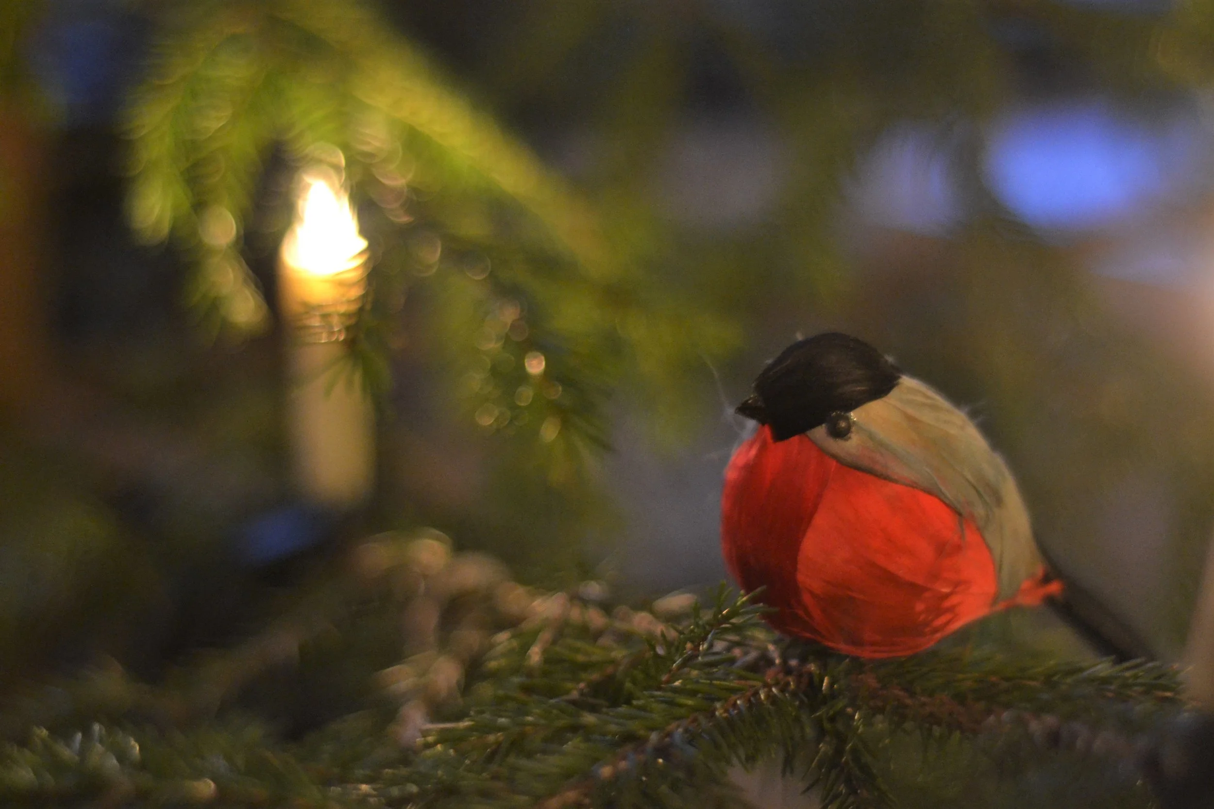 Getting Through the Holidays