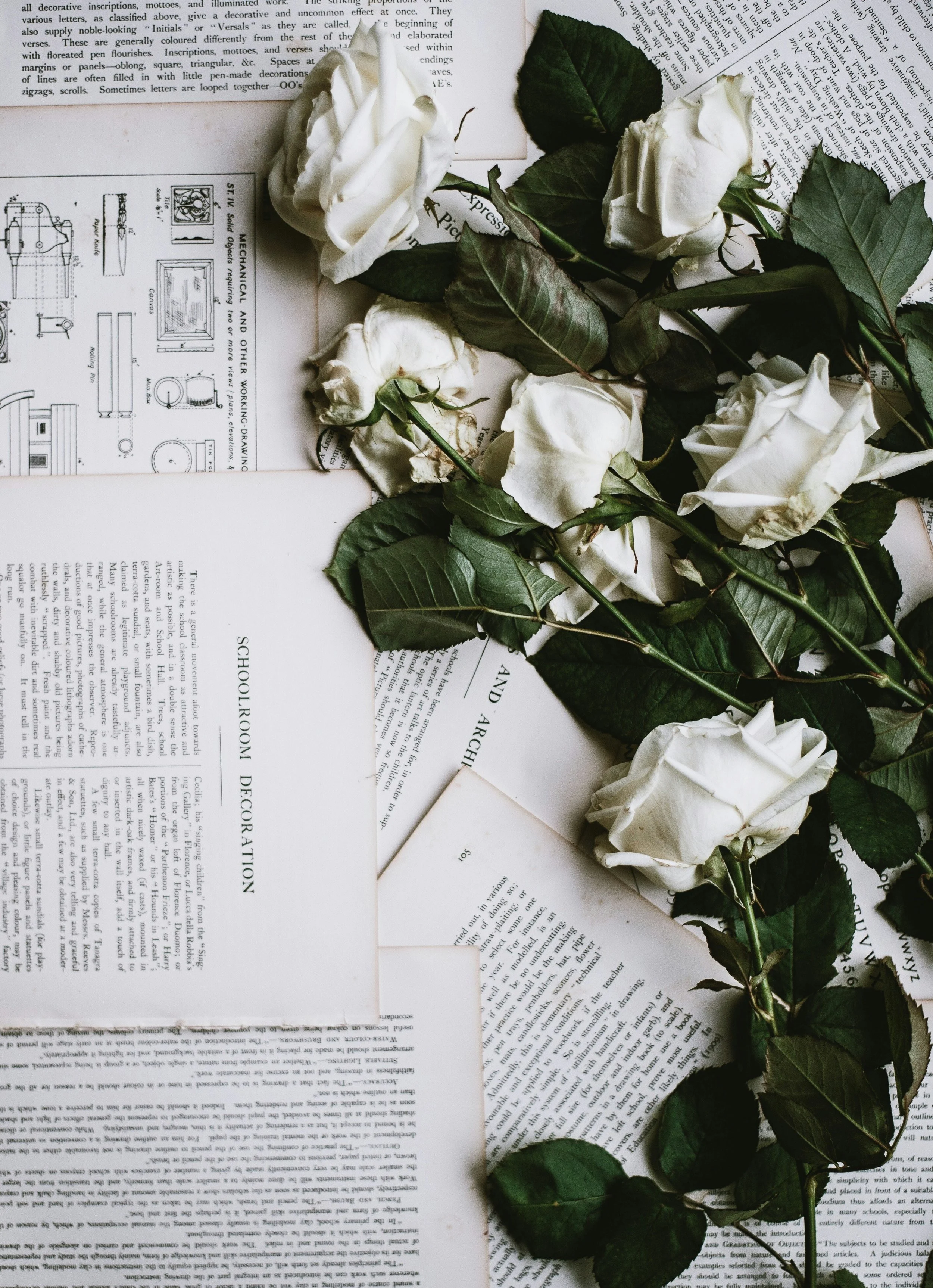 Chief Editor's Note: Falling in Love With Your Niche