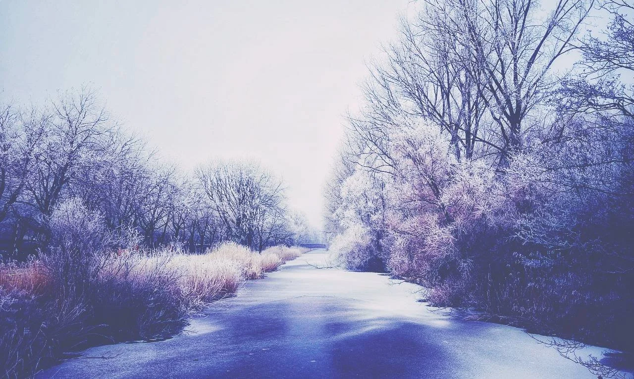 winter's breath