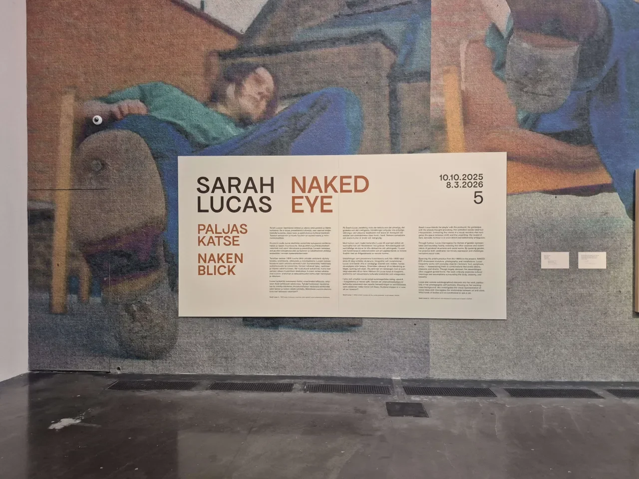 A naked look into the world of Sarah Lucas
