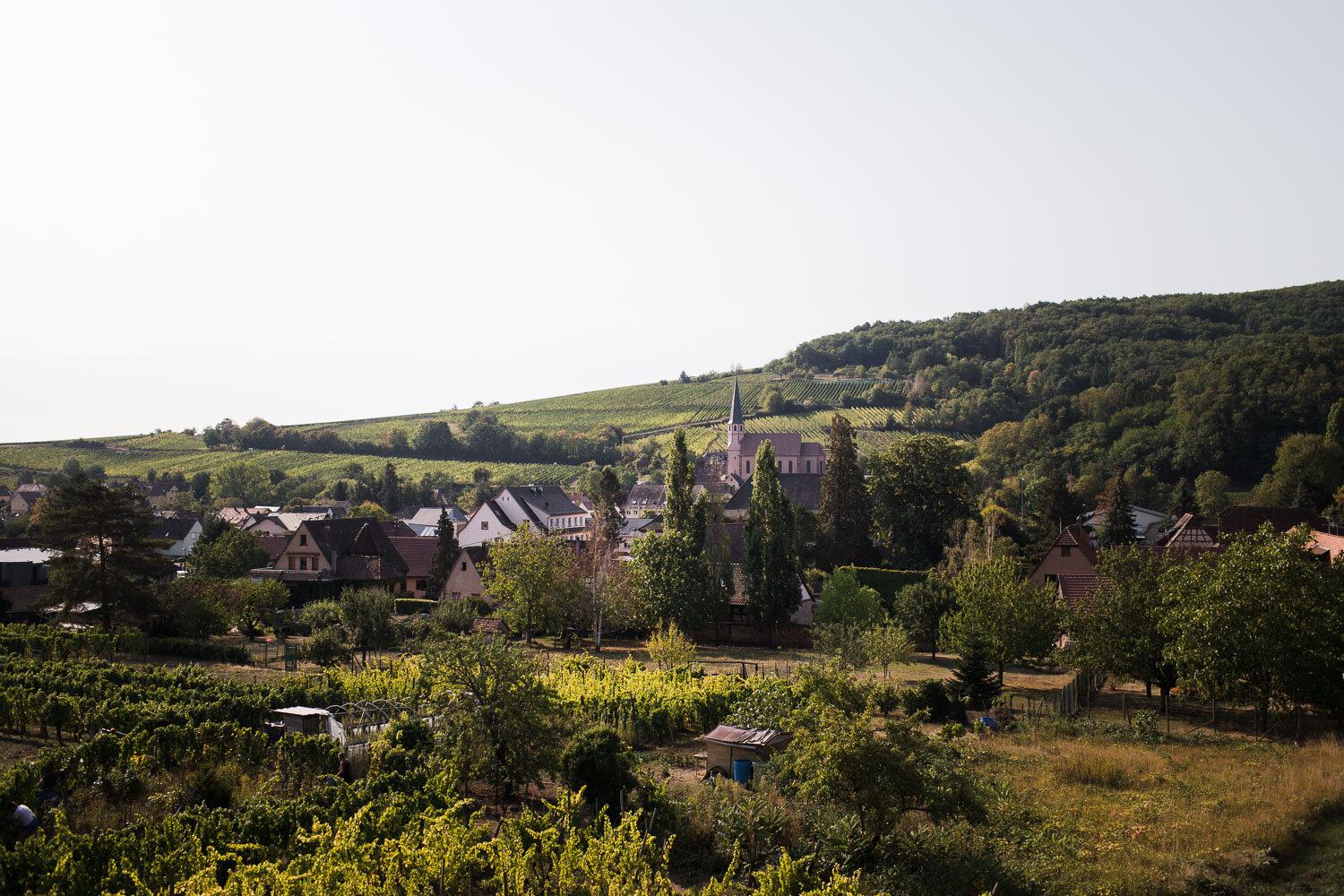 Mariage laïque et champêtre en Alsace
