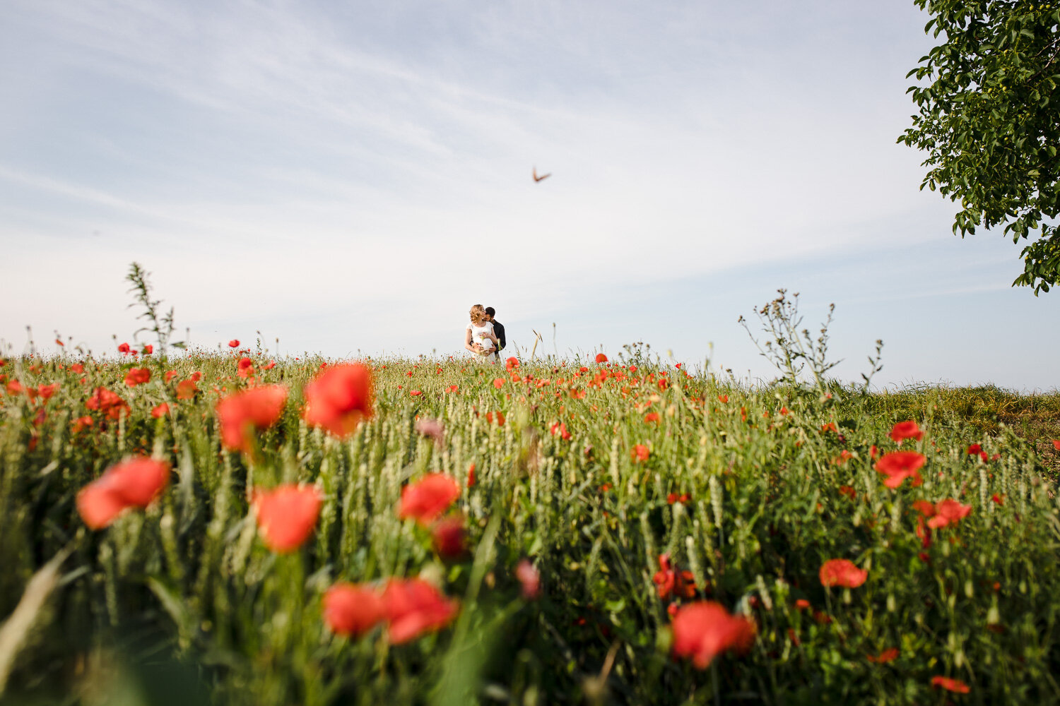 Photographe de couple en Alsace