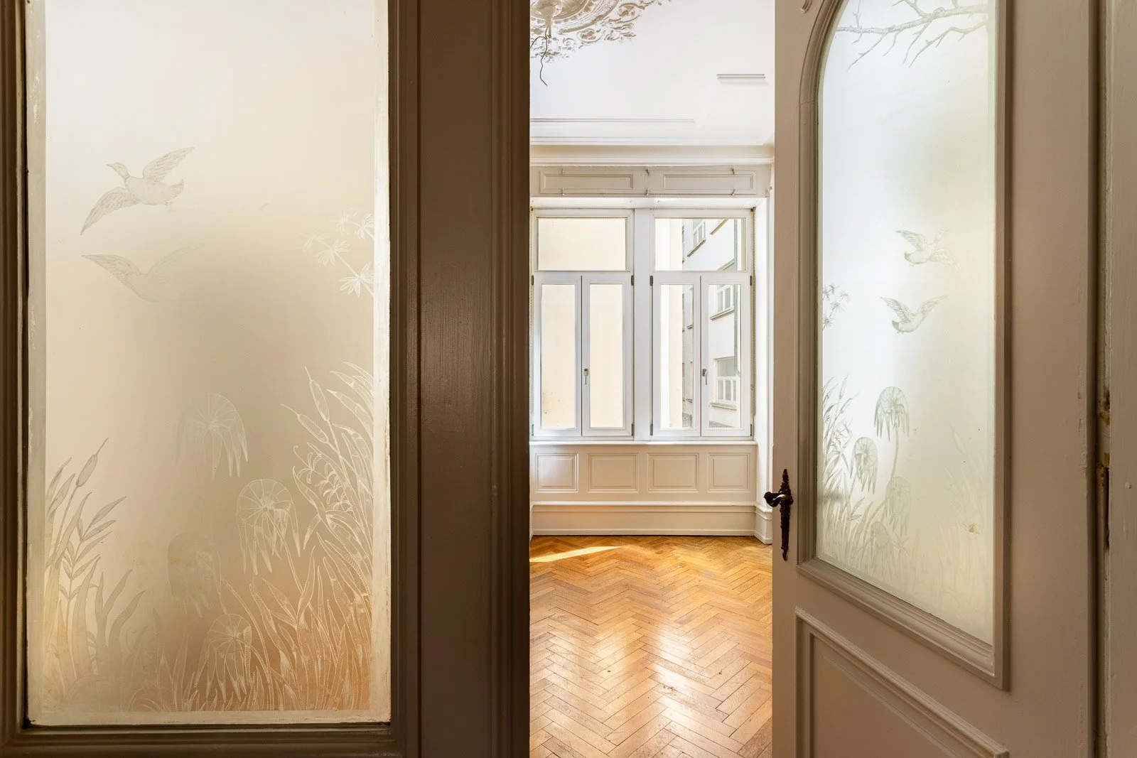 Photographie d'un Immeuble Type Haussmannien à Strasbourg
