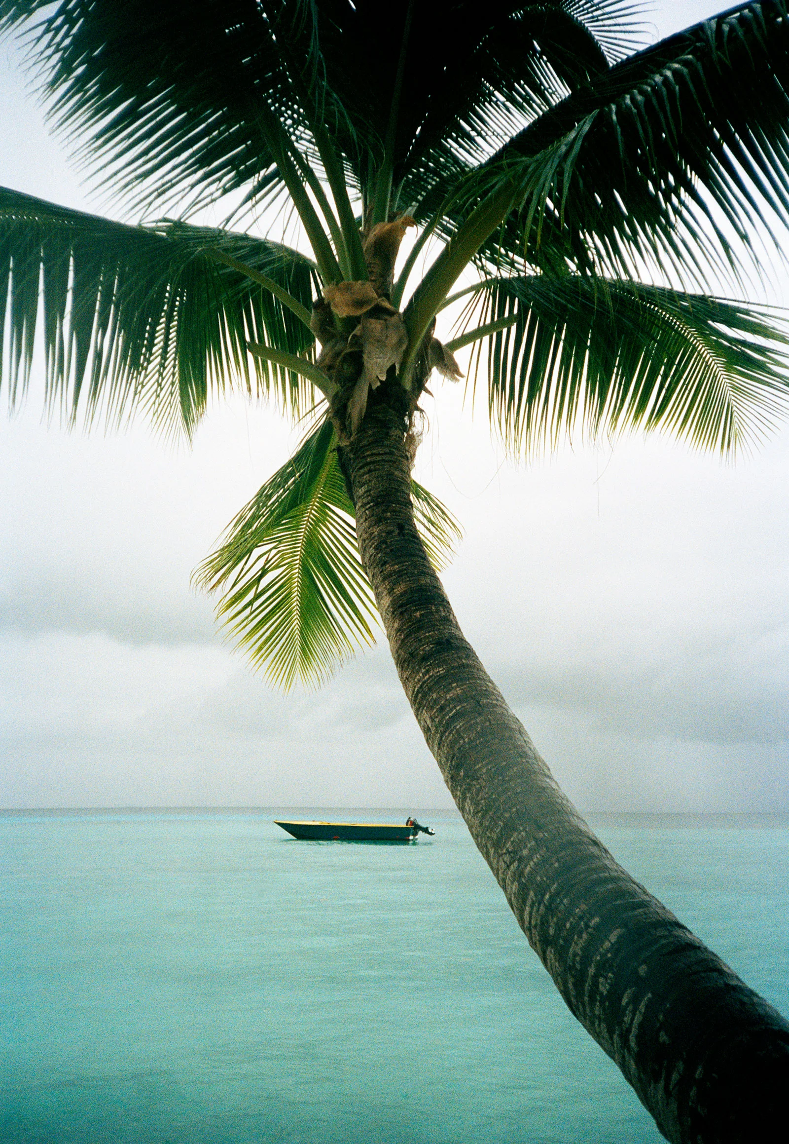 South Pacific