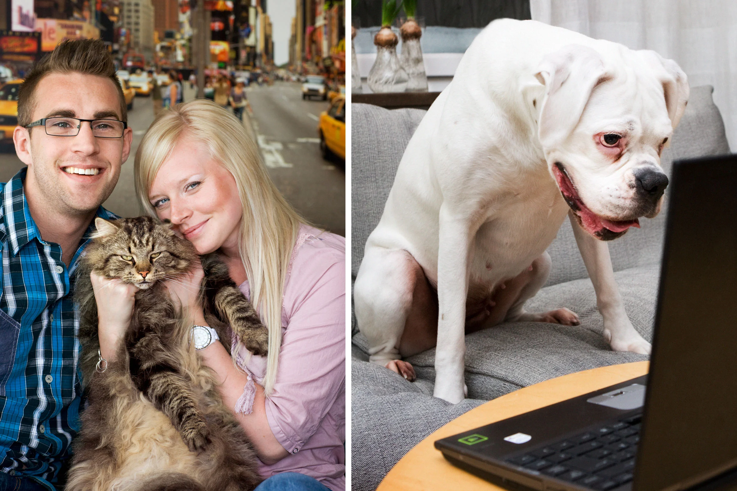 dog&cat.jpg