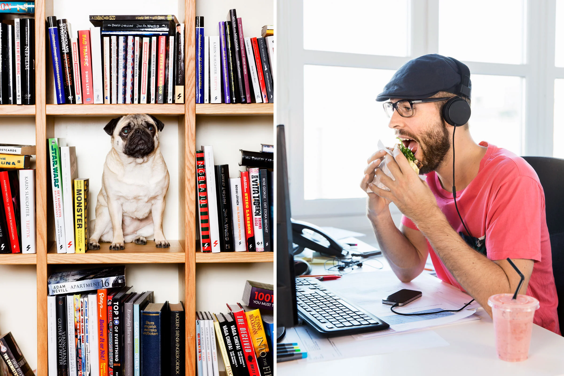 hund&mat.jpg