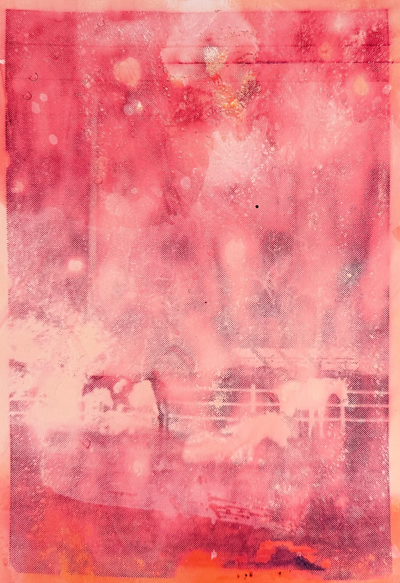 IMG_7826-2.jpg (Copy)