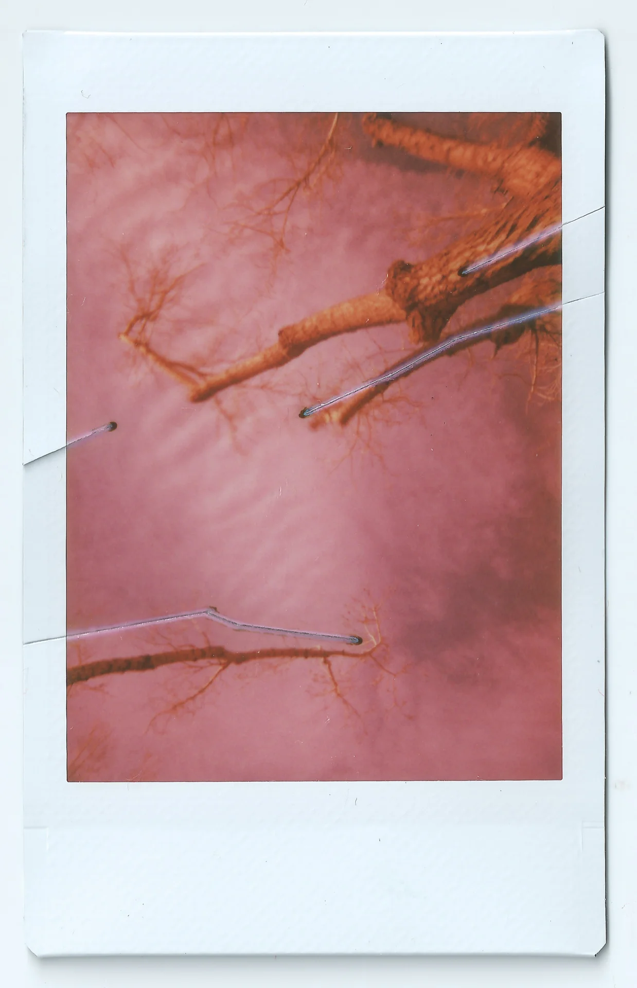 Red Limbs Cut
