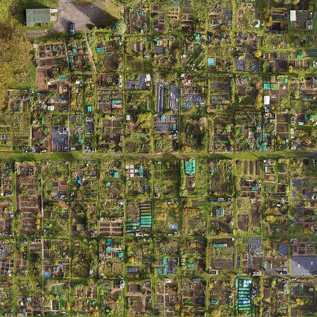 Roundhay allotments as they've never been seen before! Mapped with 1cm per pixel accuracy using just a @djipro #mini2 drone. Pre-planned capturing over 300 images in 20 minutes. Link in bio for full size image 👍🏻