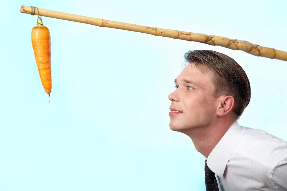 Do Point Programs Motivate?