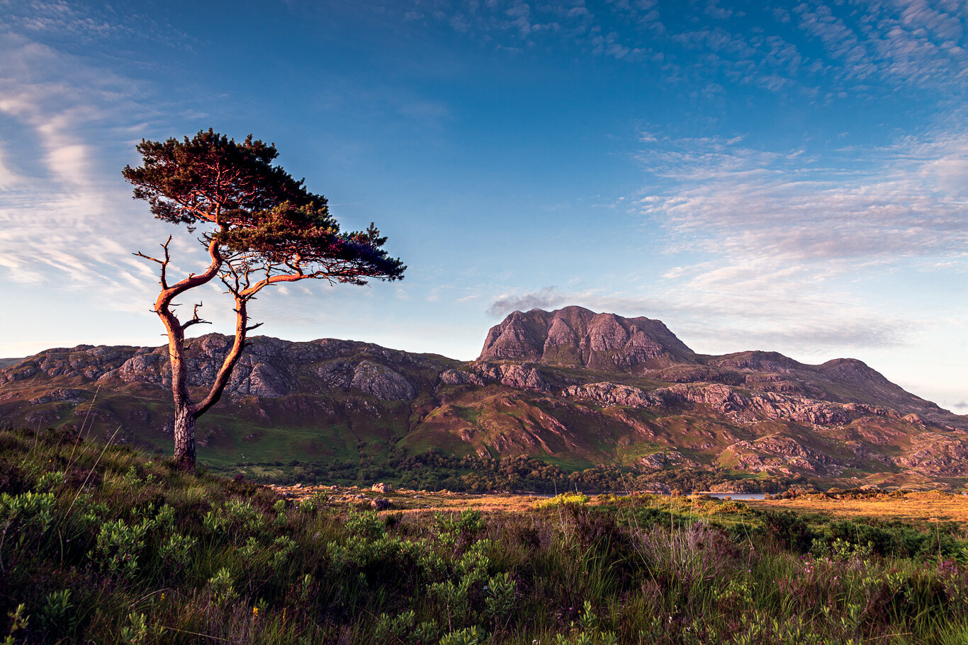 Lone Tree and Slioch, Wester Ross