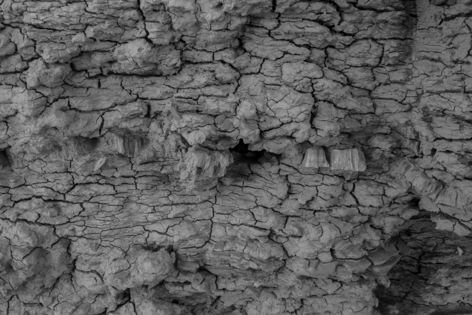 desert7.jpg
