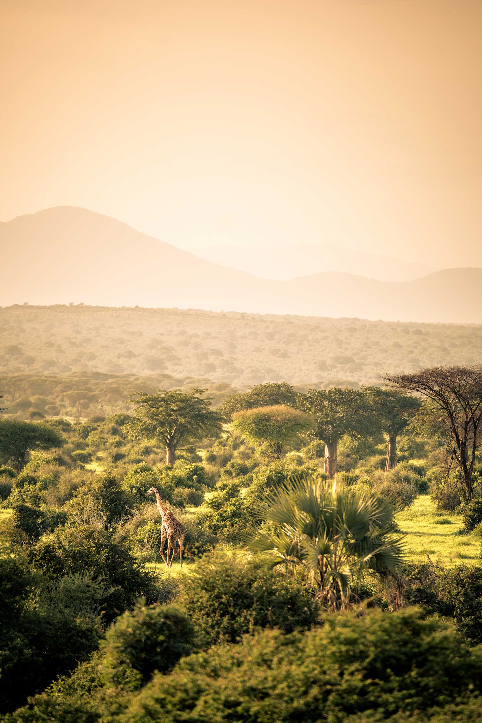 Untold-journal_Tanzania_20180211-07.jpg