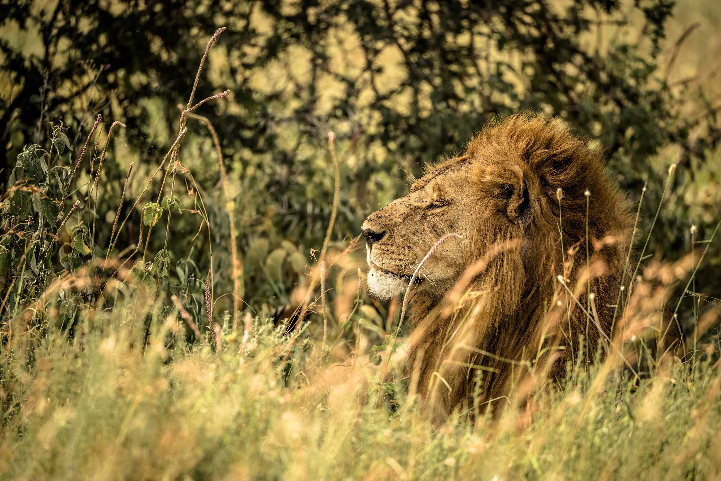 UNTOLD-Journal-Tanzania-012.jpg