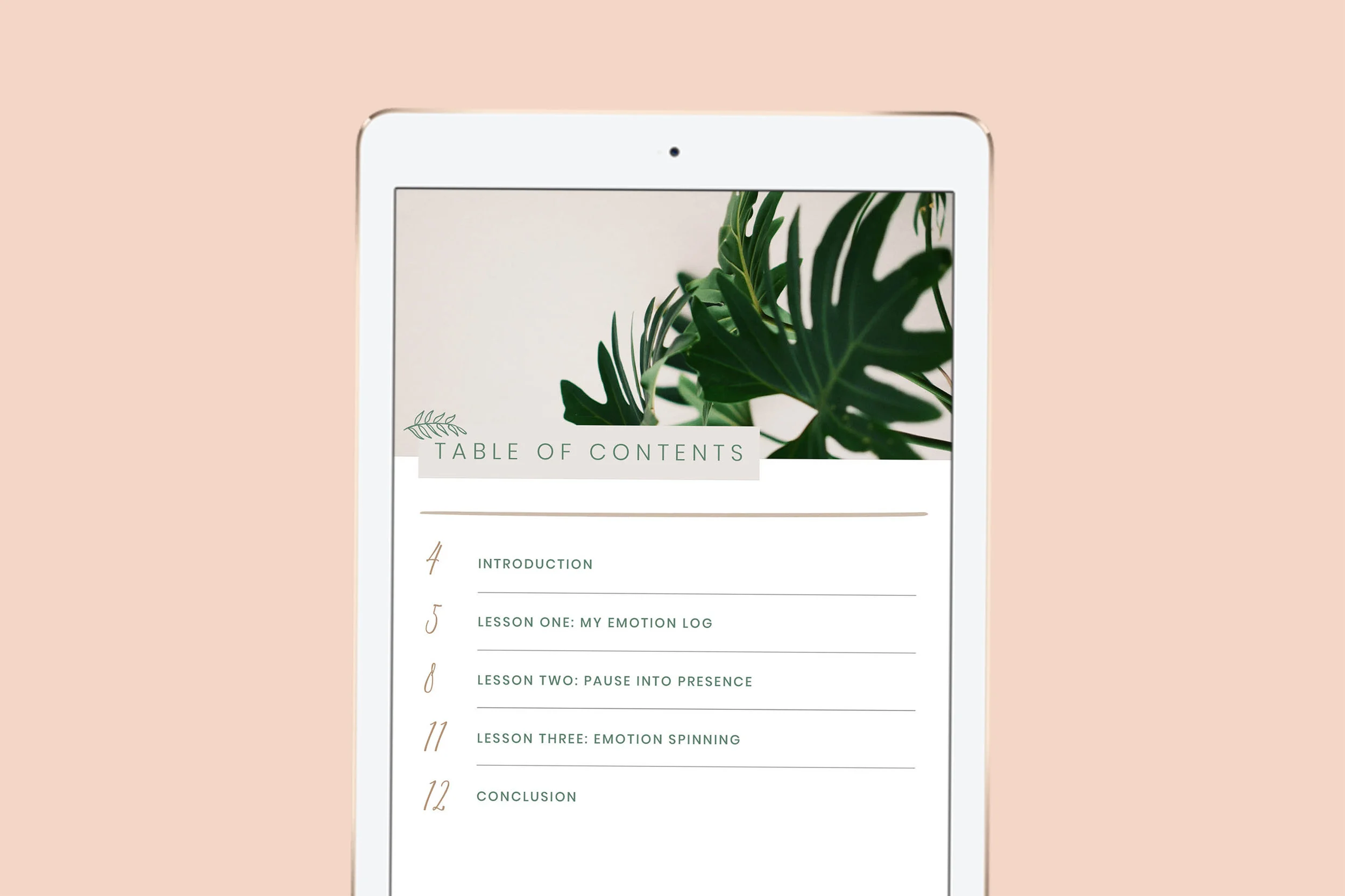 B2C-mockup-TOC.jpg