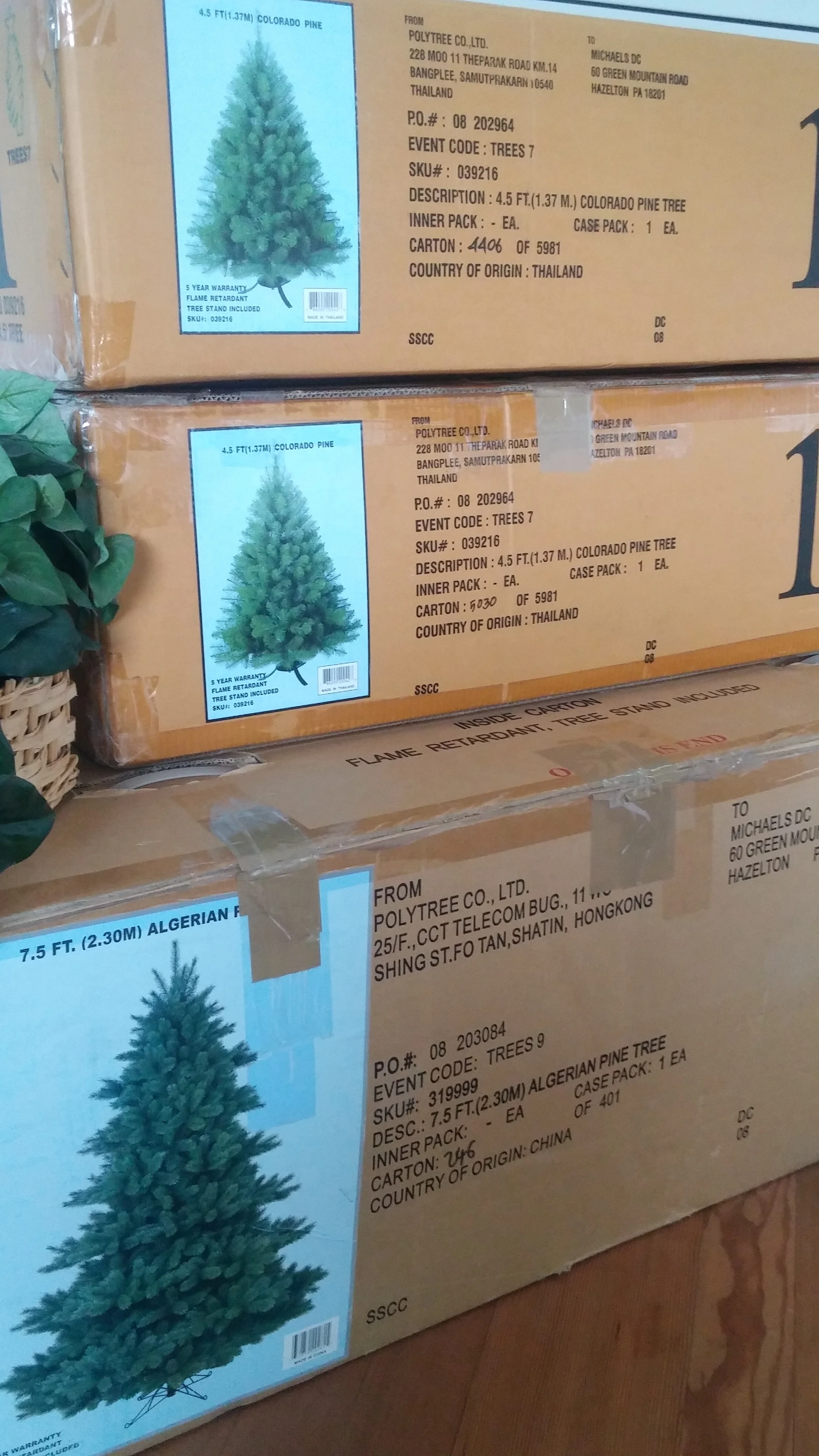 Christmas Trees.jpg
