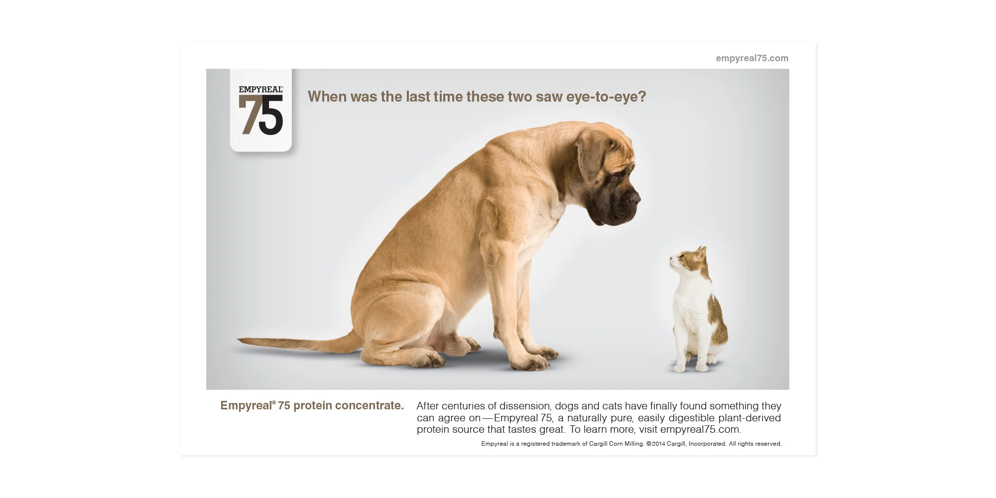 cargill-empyreal-eye-to-eye.jpg