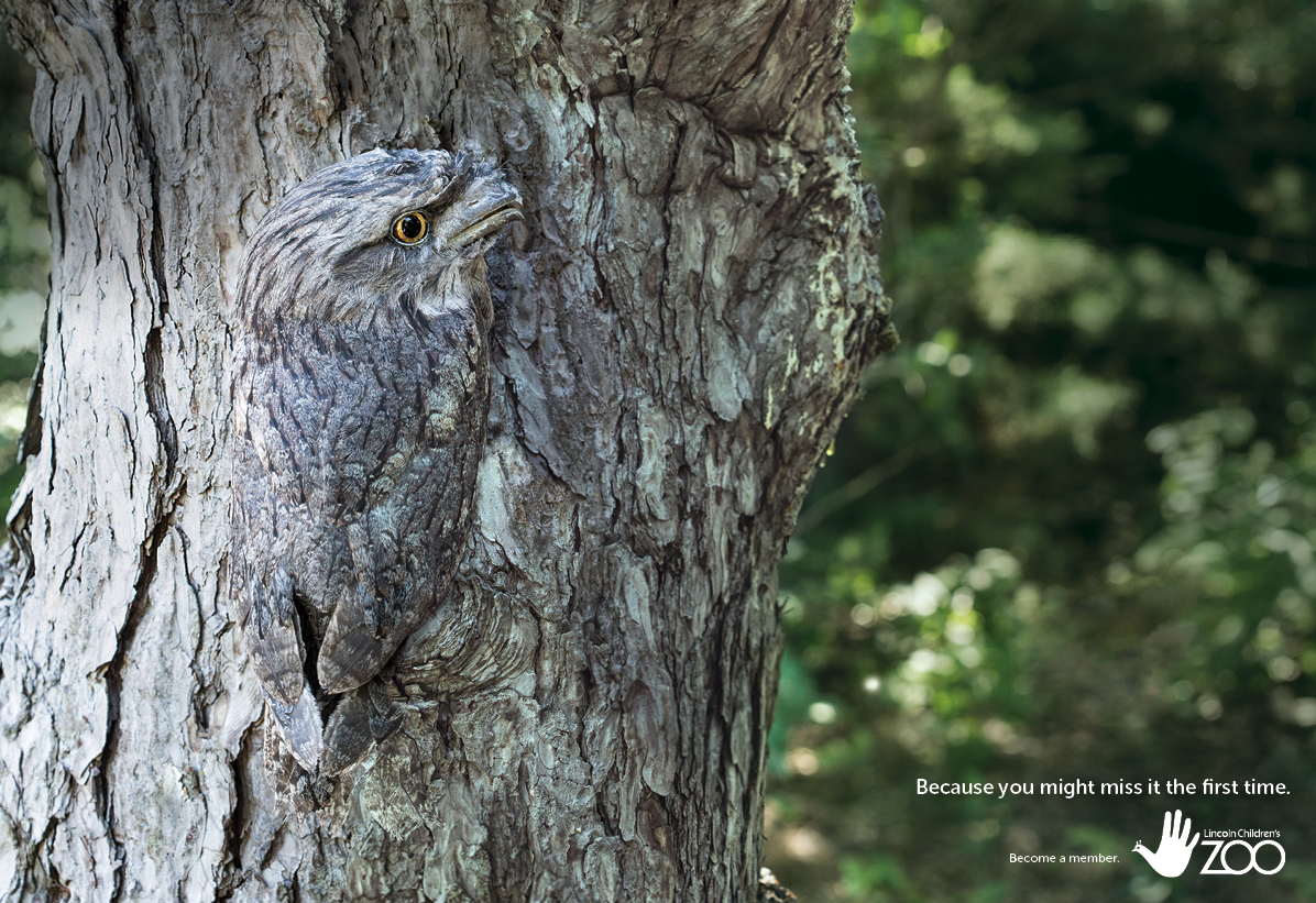 Because you might miss it the first time - Graphis1.png