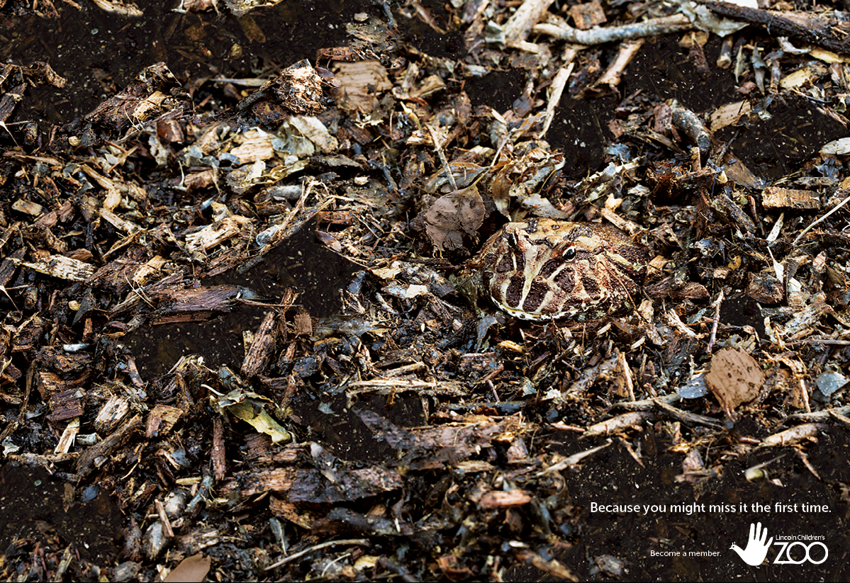 Because you might miss it the first time - Graphis2.png