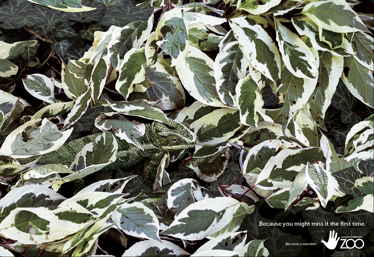 Because you might miss it the first time - Graphis3.png