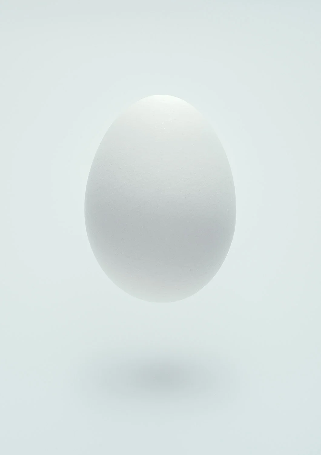 egg-0074-web-V2.jpg
