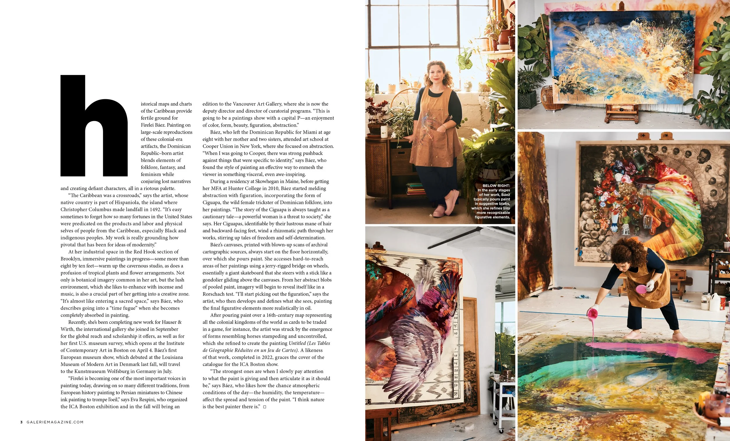 Studio Visit:  Firelei Báez