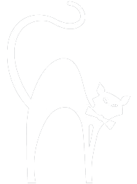 black-cat-white.png