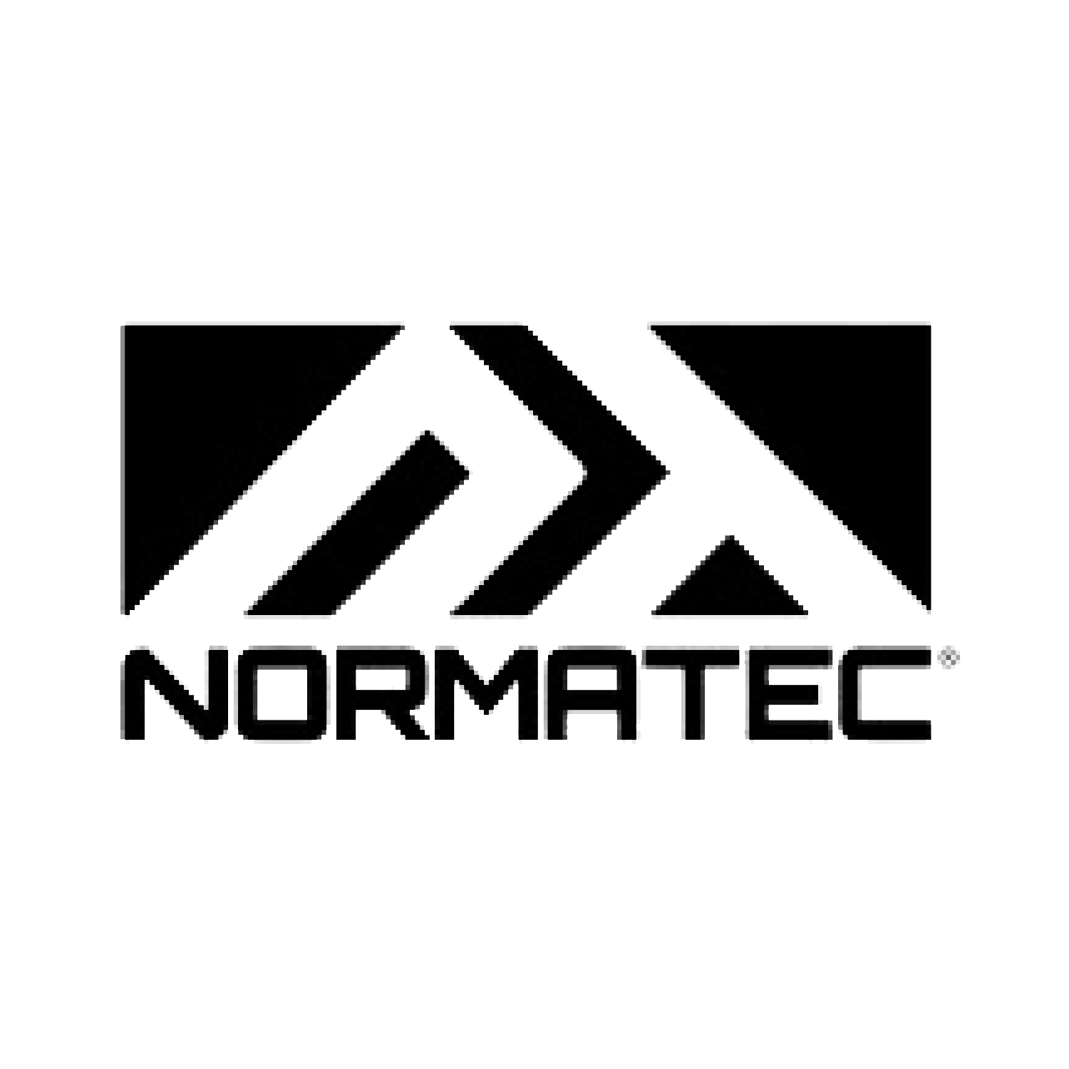 NormaTech.png