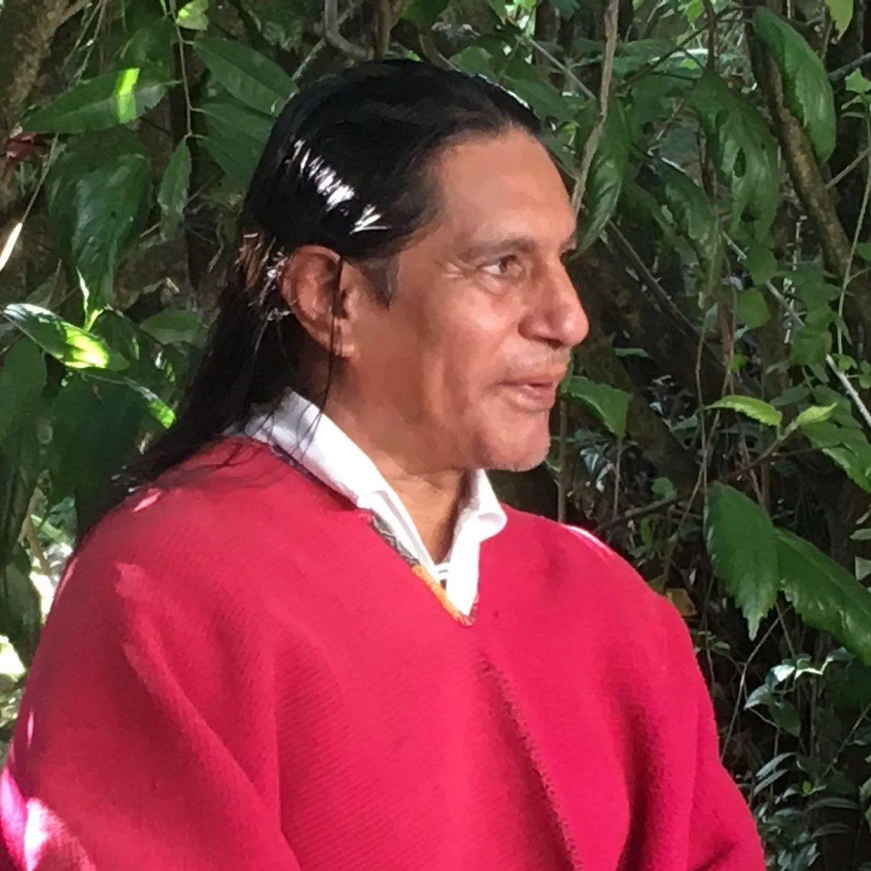 Image-1.jpg