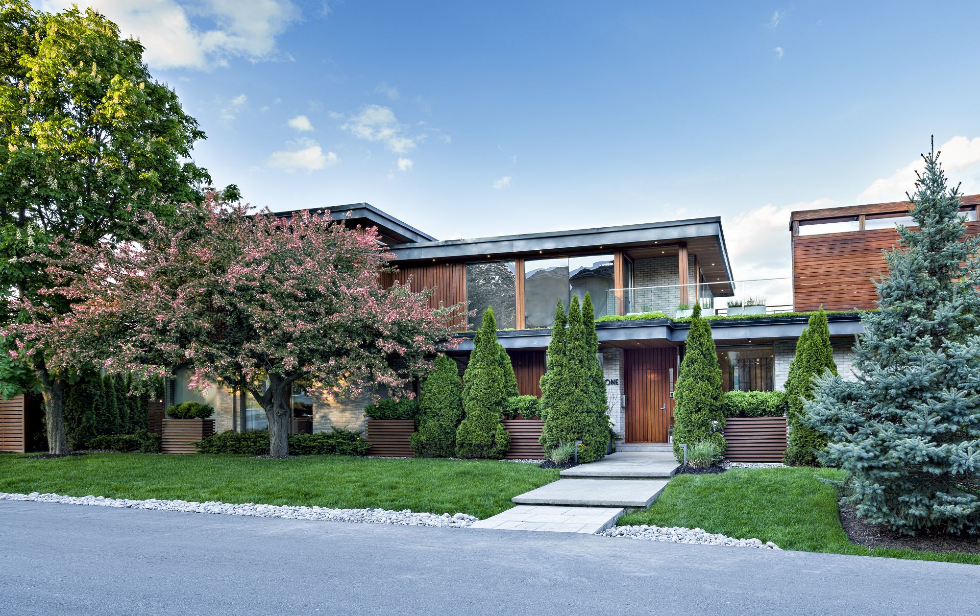 Main_Front_SHANE 1.jpg