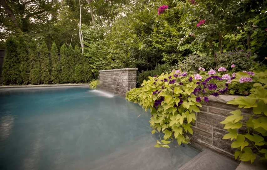 Bedford_Park_Residence_1_6.jpg