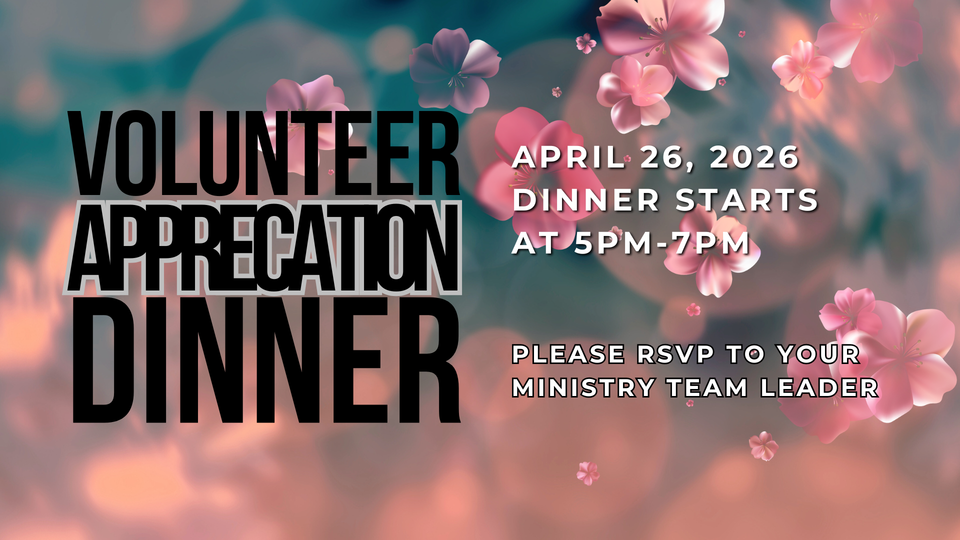 Volunteer Appreciation