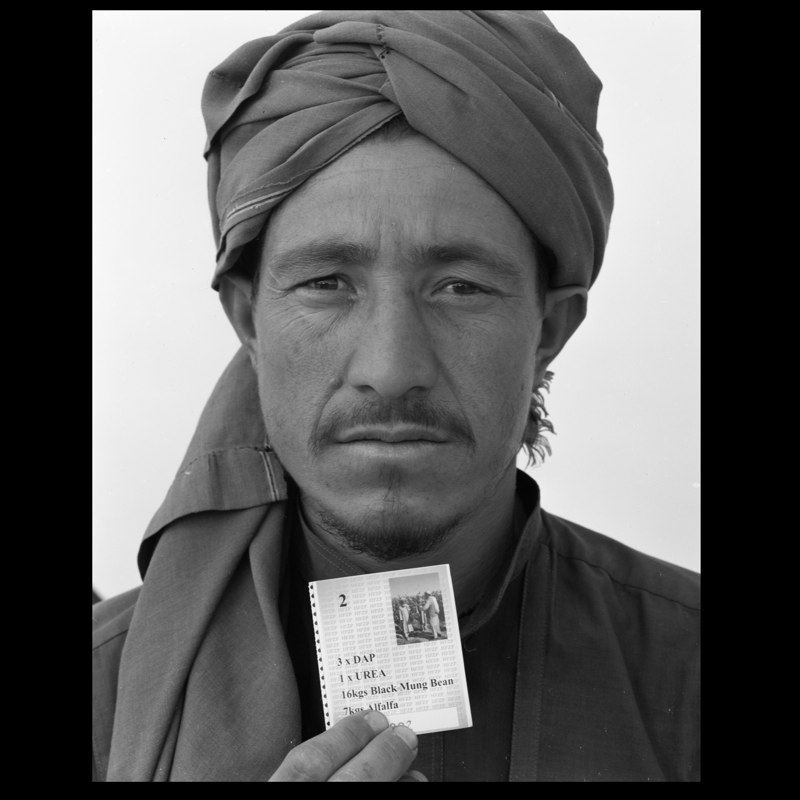  A poppy farmer in Marja collecting seeds to grow other crops. Farmers are encouraged to convert poppy fields for use with other plants through various government programs in Marja. 