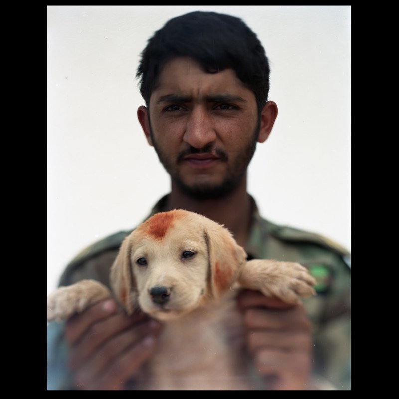  An Afghan National Army soldier holds a newly adopted puppy with henna on its head and ears at Camp Hill in Marja. 