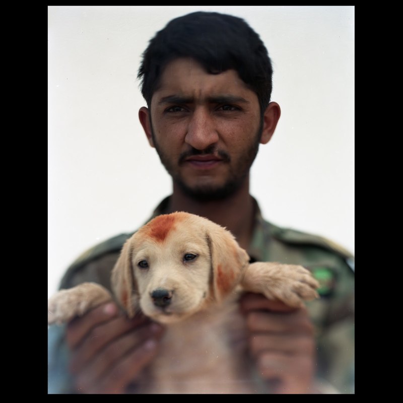 An Afghan National Army soldier holds a newly adopted puppy with henna on its head and ears at Camp Hill in Marja.
