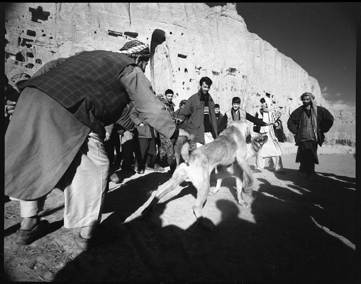  Sag Janji (dog fighting) at Bamiyan. 