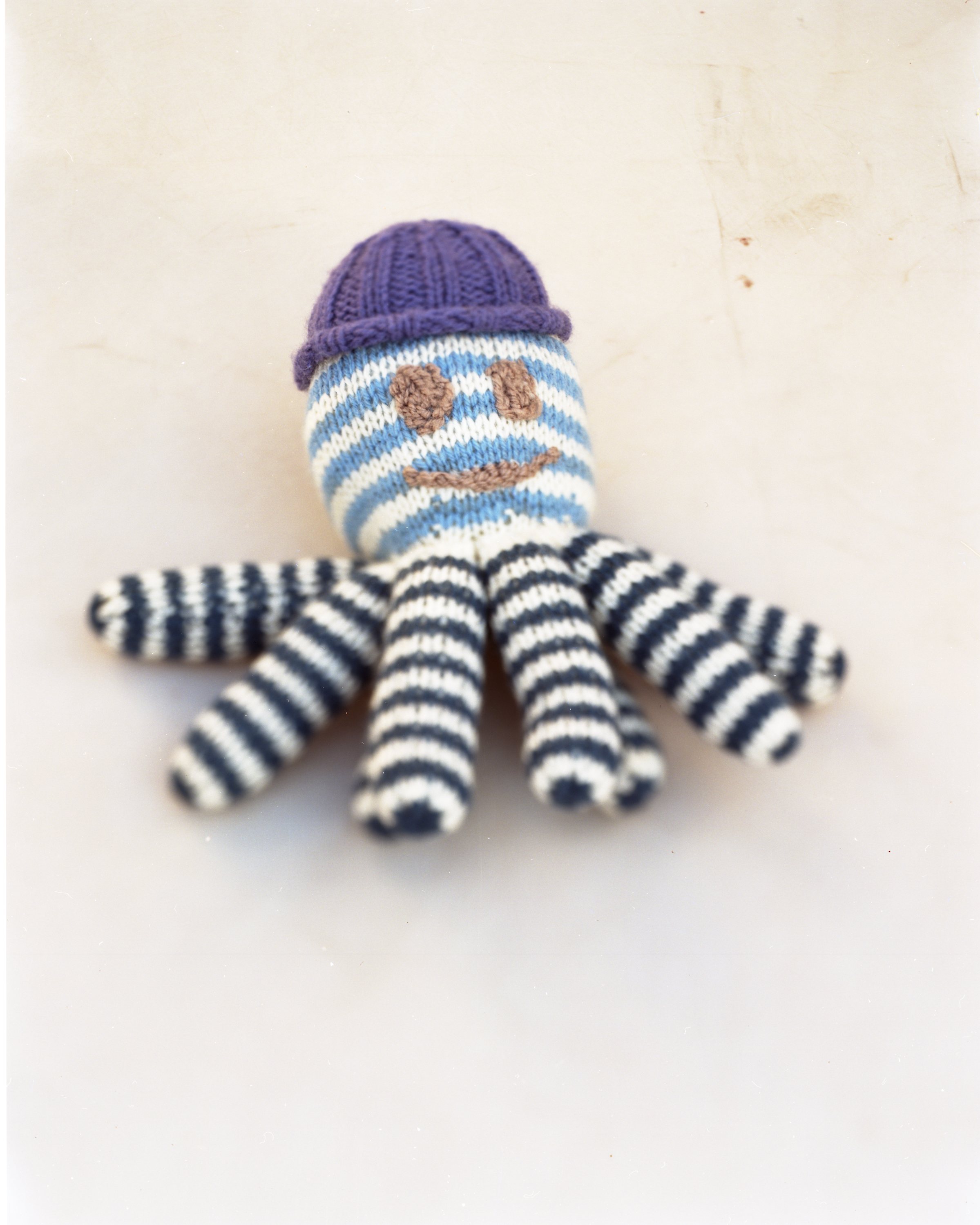  Nigel the Octopus, one of the toys knitted by Fiona McDaid for refugees and migrants.   