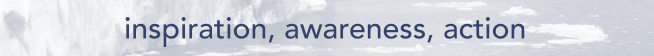 Screen Shot 2019-08-28 at 5.53.52 PM.png