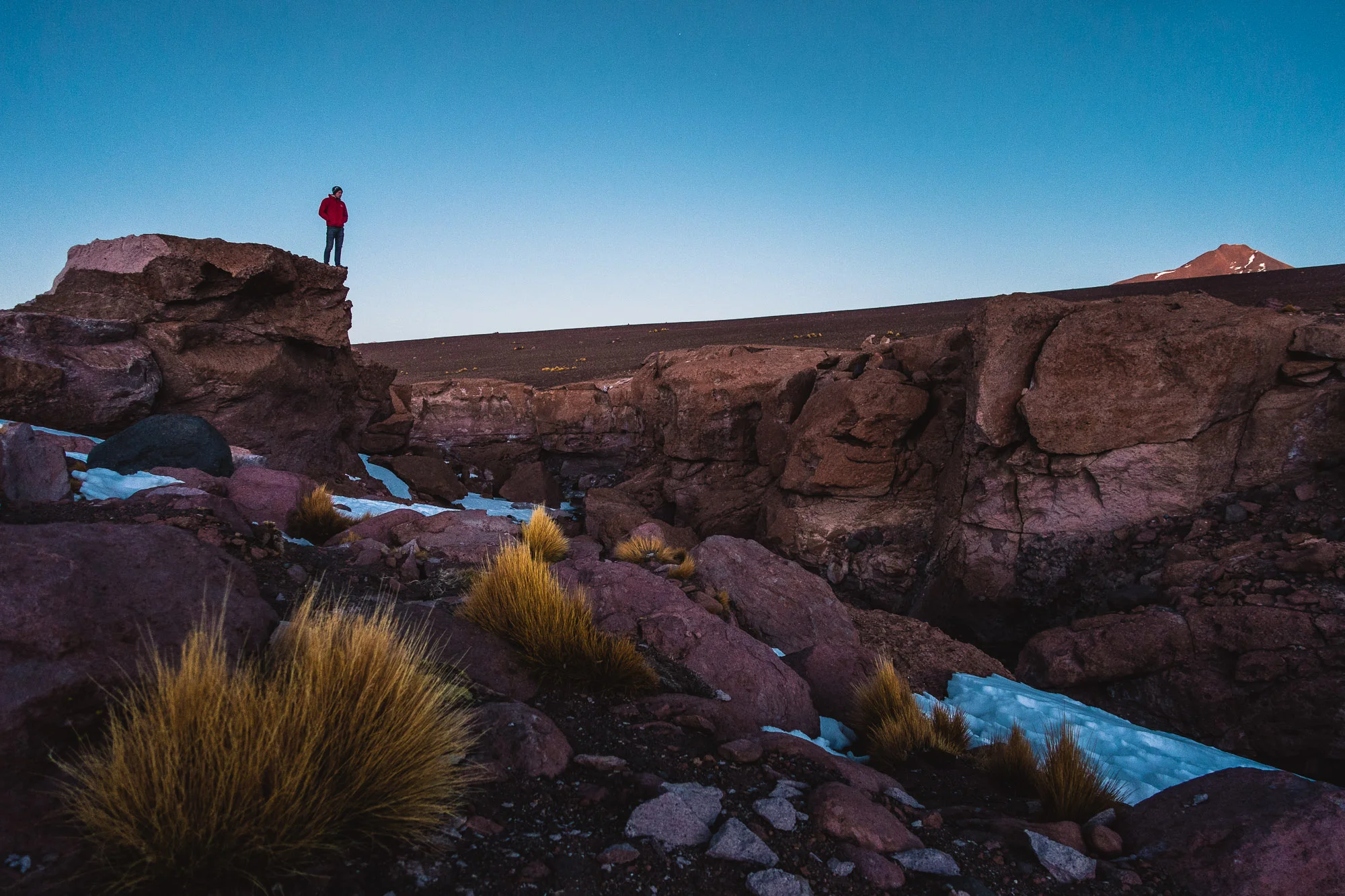 Wilderness of Bolivia (4400m)